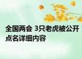 全国两会 3只老虎被公开点名详细内容