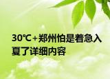 30℃+郑州怕是着急入夏了详细内容