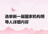 选举新一届国家机构领导人详细内容