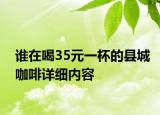 谁在喝35元一杯的县城咖啡详细内容