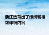 浙江选育出了螺蛳粉樱花详细内容
