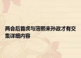 两会后首虎与薄熙来孙政才有交集详细内容
