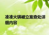凑凑火锅被立案查处详细内容