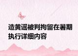 造黄谣被判拘留在暑期执行详细内容