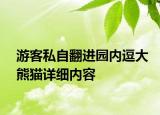 游客私自翻进园内逗大熊猫详细内容