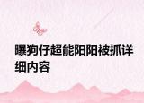 曝狗仔超能阳阳被抓详细内容