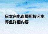日本东电直播用核污水养鱼详细内容