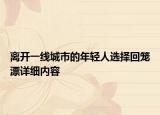 离开一线城市的年轻人选择回笼漂详细内容