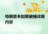 特朗普未如期被捕详细内容