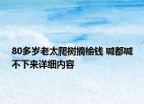 80多岁老太爬树摘榆钱 喊都喊不下来详细内容