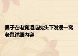 男子在电竞酒店枕头下发现一窝老鼠详细内容