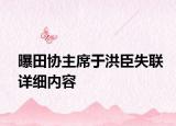 曝田协主席于洪臣失联详细内容