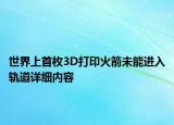 世界上首枚3D打印火箭未能进入轨道详细内容
