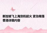 新加坡飞上海货机起火 紧急降落香港详细内容