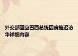 外交部回应巴西总统因病推迟访华详细内容