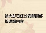 徐大彤已任公安部副部长详细内容
