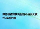 媒体植被好转为何挡不住漫天黄沙?详细内容