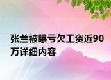 张兰被曝亏欠工资近90万详细内容