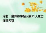 河北一废弃冷库起火致11人死亡详细内容
