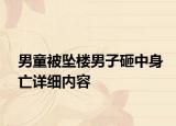 男童被坠楼男子砸中身亡详细内容