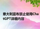 意大利宣布禁止使用ChatGPT详细内容