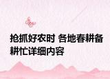 抢抓好农时 各地春耕备耕忙详细内容