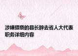 涉嫌猥亵的县长辞去省人大代表职务详细内容