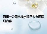 四川一公园电线出现巨大火团详细内容