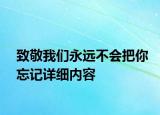 致敬我们永远不会把你忘记详细内容