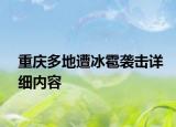 重庆多地遭冰雹袭击详细内容