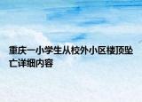 重庆一小学生从校外小区楼顶坠亡详细内容