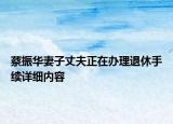蔡振华妻子丈夫正在办理退休手续详细内容