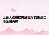 上百人进山挖黄金官方:挖的是昆虫详细内容