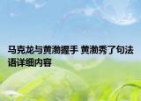 马克龙与黄渤握手 黄渤秀了句法语详细内容