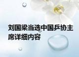 刘国梁当选中国乒协主席详细内容