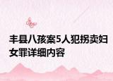 丰县八孩案5人犯拐卖妇女罪详细内容
