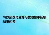 气氛热烈马克龙与黄渤握手畅聊详细内容