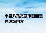 丰县八孩案庭审画面曝光详细内容