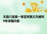 丰县八孩案一审宣判其丈夫被判9年详细内容