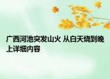 广西河池突发山火 从白天烧到晚上详细内容