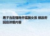 男子当街强吻并猛踹女孩 镇政府回应详细内容