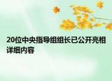 20位中央指导组组长已公开亮相详细内容
