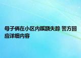 母子俩在小区内蹊跷失踪 警方回应详细内容