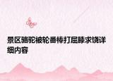 景区骆驼被轮番棒打屈膝求饶详细内容