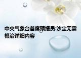中央气象台首席预报员:沙尘无需根治详细内容