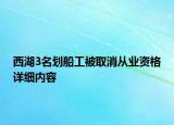 西湖3名划船工被取消从业资格详细内容