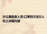 沙尘暴趁夜入京:口罩挡不住行人吃土详细内容