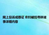 网上投诉成罪证 农妇被控寻衅滋事详细内容