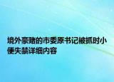 境外豪赌的市委原书记被抓时小便失禁详细内容