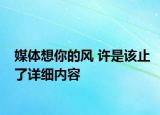 媒体想你的风 许是该止了详细内容